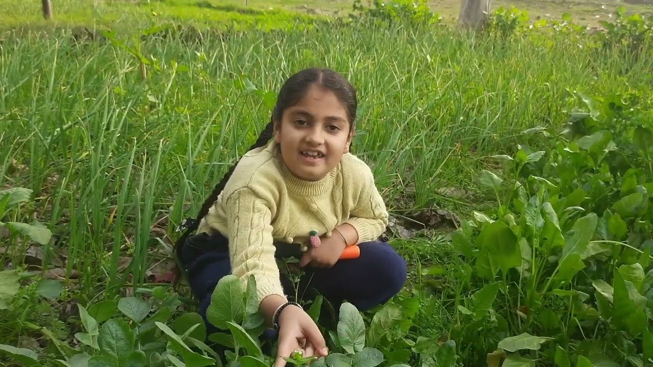 Vaanya’s Little Kitchen Garden Tour 🌱💚