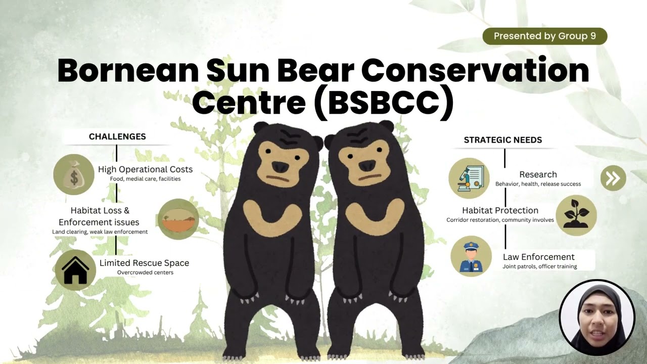 BORNEAN SUN BEAR CONSERVATION CENTRE (BSBCC) (GROUP 9)