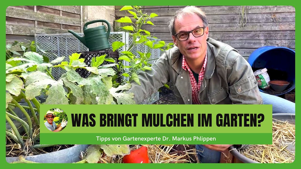 Was bringt Mulchen im Garten?