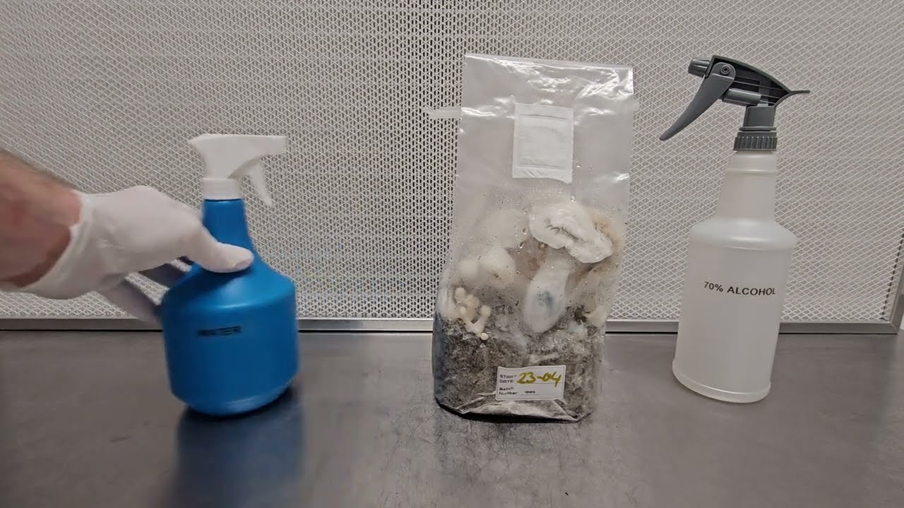 How to harvest the Jack Frost growkit from Philosophr.