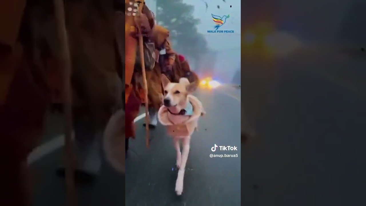 জগতের সকল প্রাণী সুখী হোক