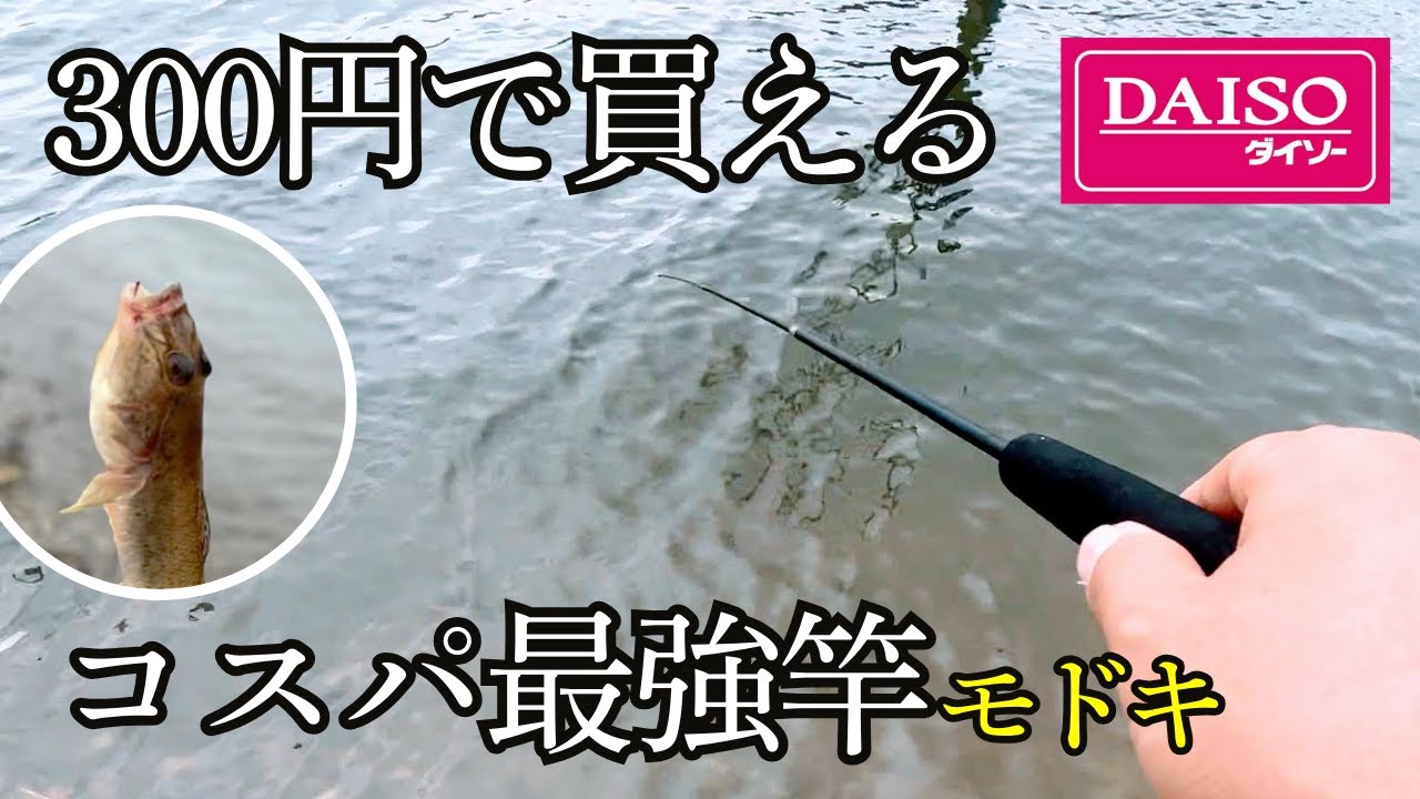 コスパ最強。300円で買えるダイソーのある商品がハゼ釣り用の竿として使えるらしい