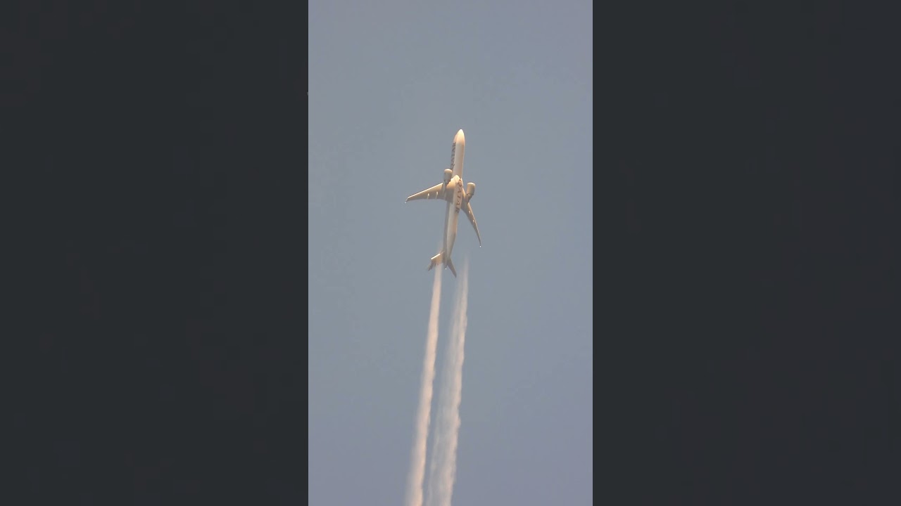 Desert Falcon - Qatar 777 at 36,000 ft