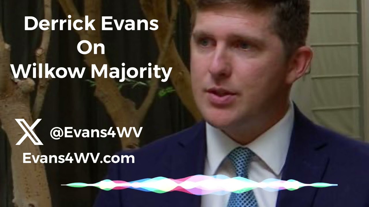 Derrick Evans on Wilkow Majority