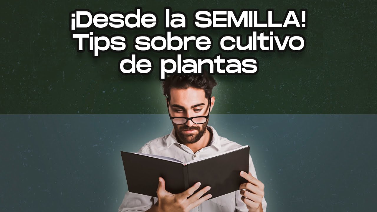 Gu&iacute;a educativa de cultivo de plantas | Prevenci&oacute;n y usos no recreativos