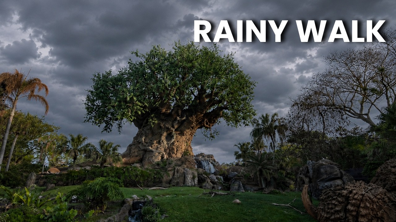 Rainy Day at Disney's Animal Kingdom 🌧️ | 4K Walking Tour