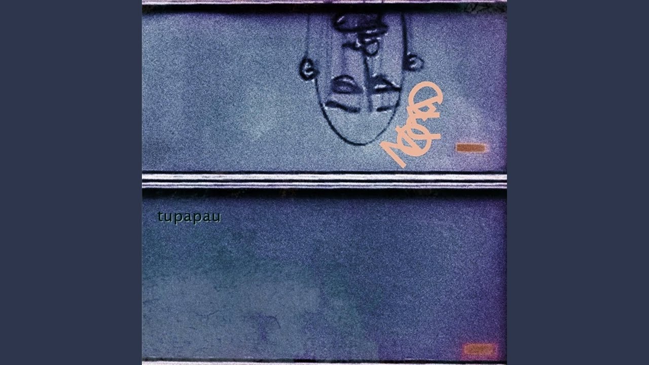 Schungel