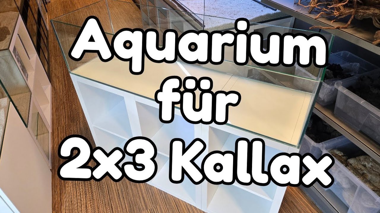 Aquarium für IKEA 2x3 Kallax - Auf diese Statik-Details muss man achten!