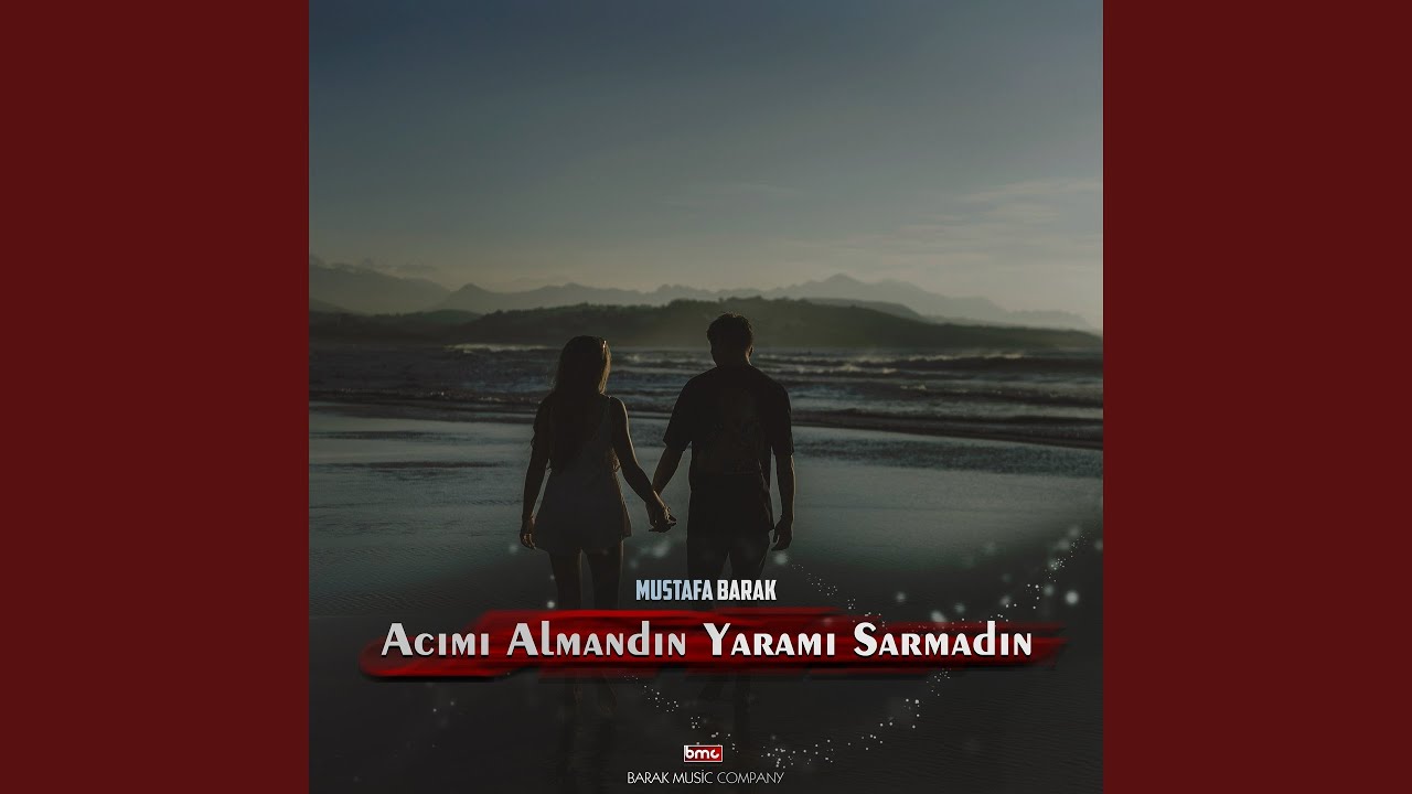 Acımı Almadın Yaramı Sarmadın