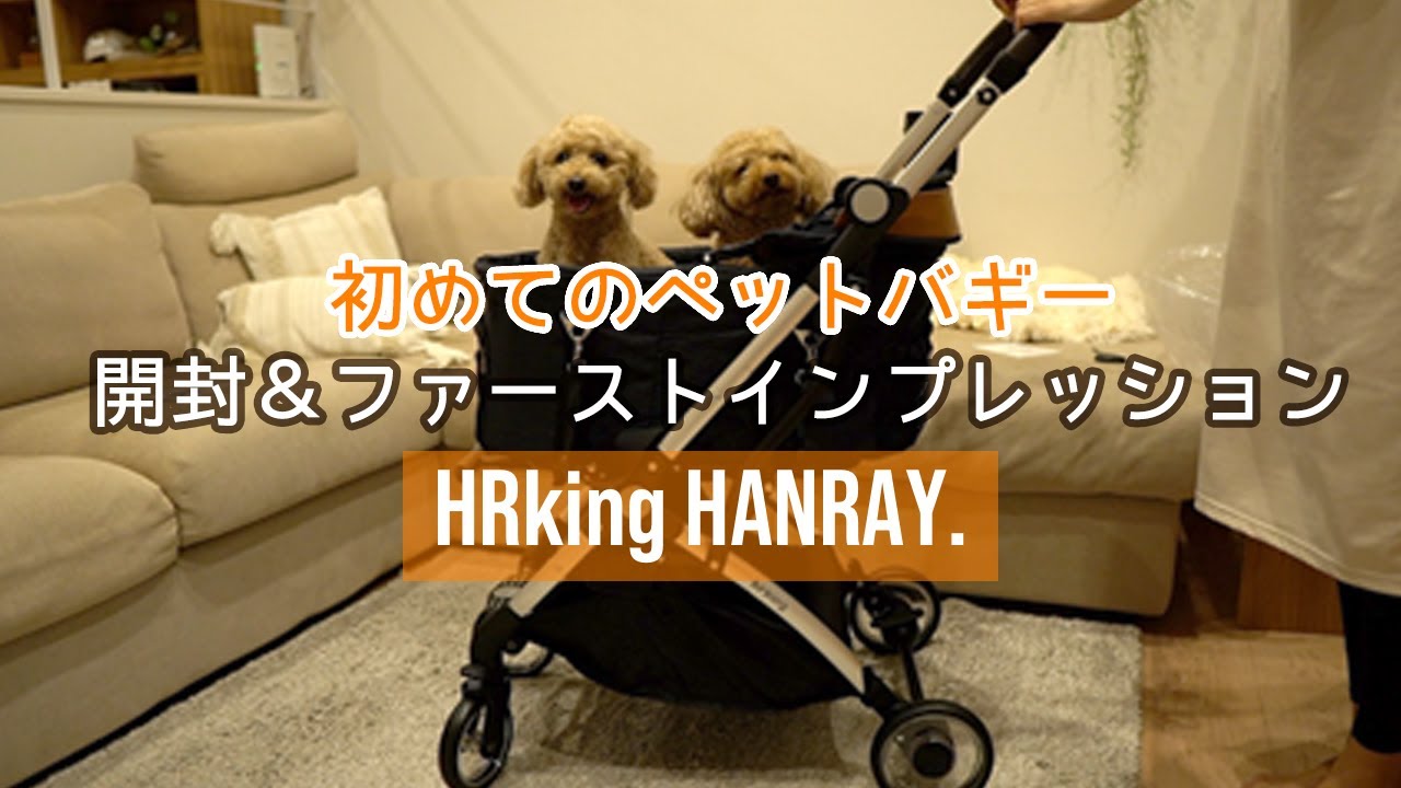 初めてのペットバギー納車。