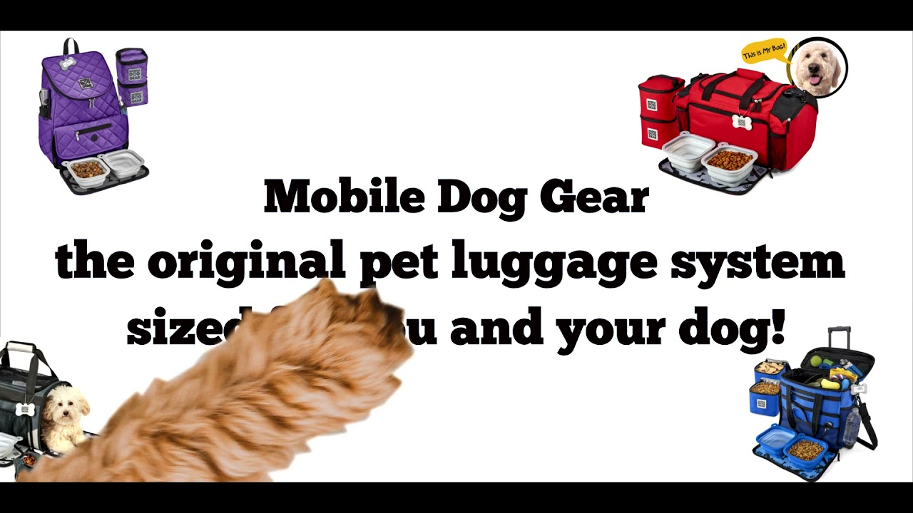 Mobile Dog Gear Promo Video 2