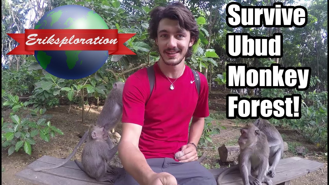 How to Survive the Ubud Monkey Forest in Bali!