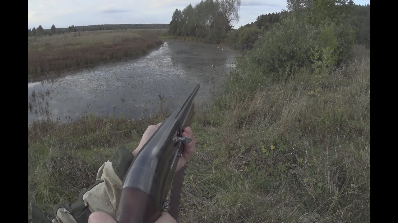 Осенняя охота с подхода 2025