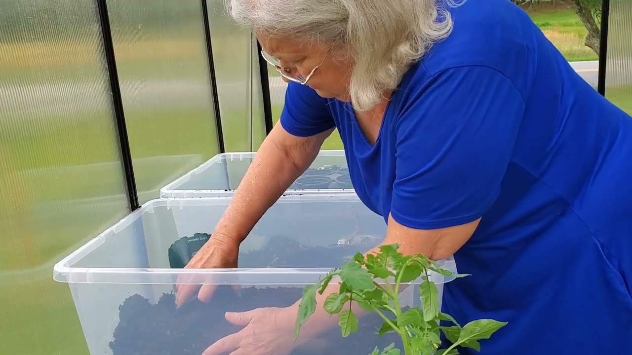 Planting a Container Garden
