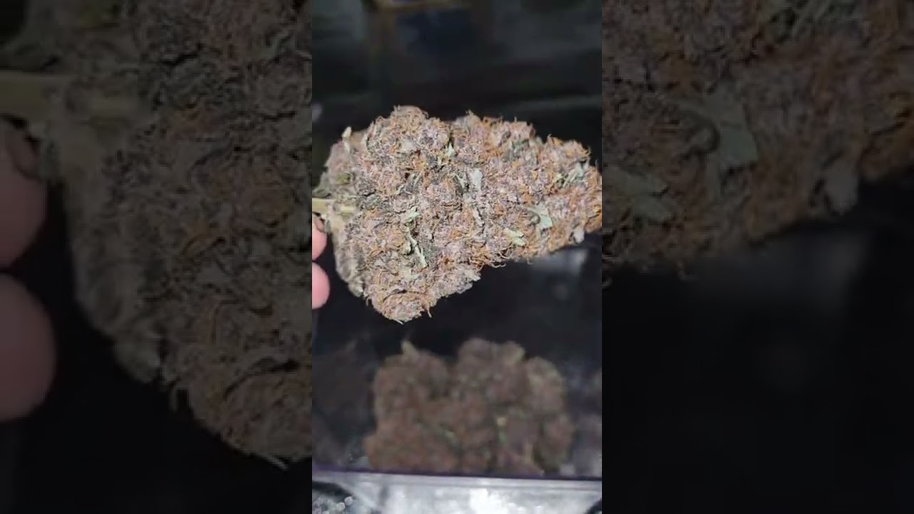 purple lemonade 420fb ☘💚👌