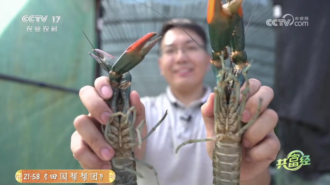 《共富经》 20260319 水下有宝 科技撑腰 | 农业致富经 Agriculture And Farming
