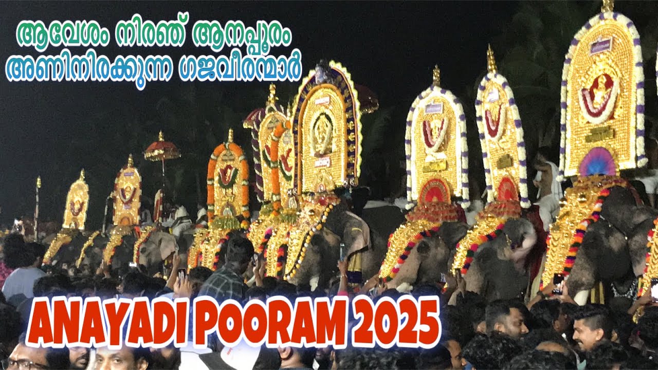 Anayadi Pooram 2025 | ആവേശം നിരഞ് ആനപ്പൂരം | Anayadi #anayadipooram #anayadi