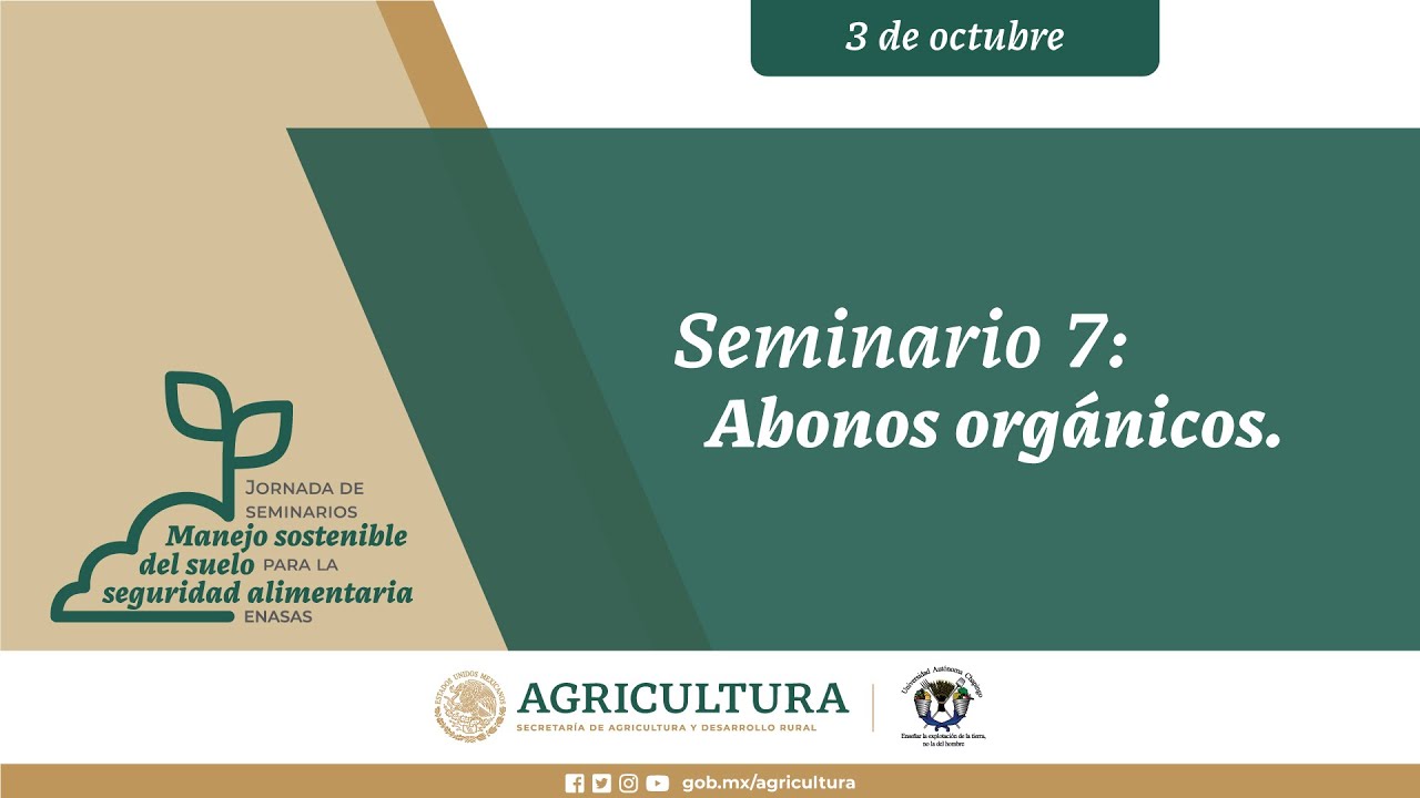 Seminarios-suelos 7: 