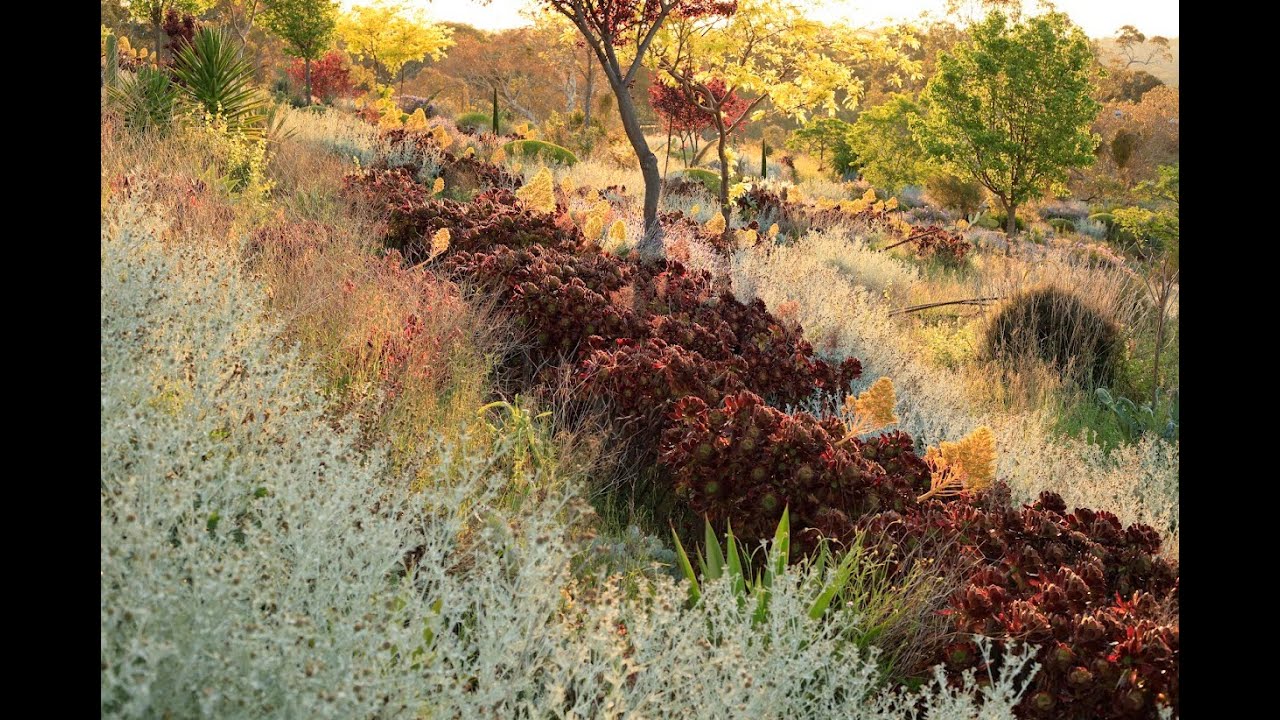 Kurt Wilkinson, Horticulturalist & Garden Designer, South Australia - 12 February 2025