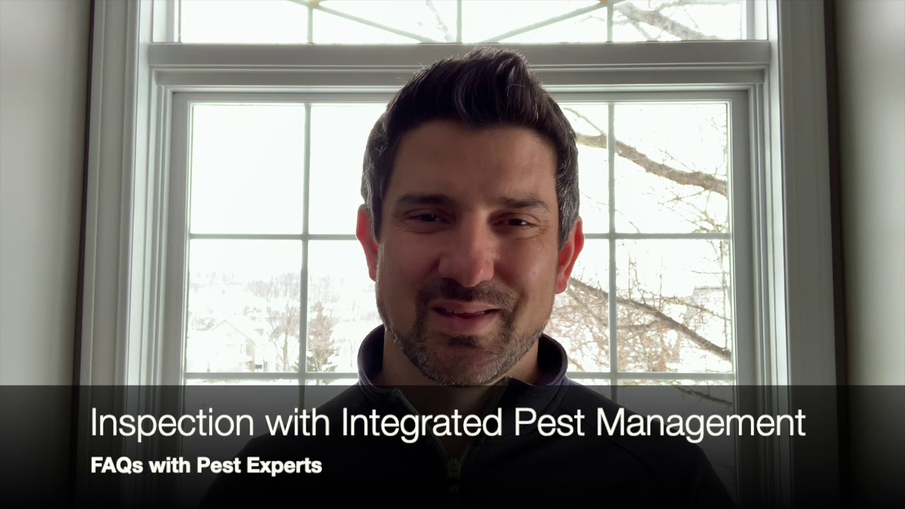 Inspection with Integrated Pest Management | Rochester Pest Experts