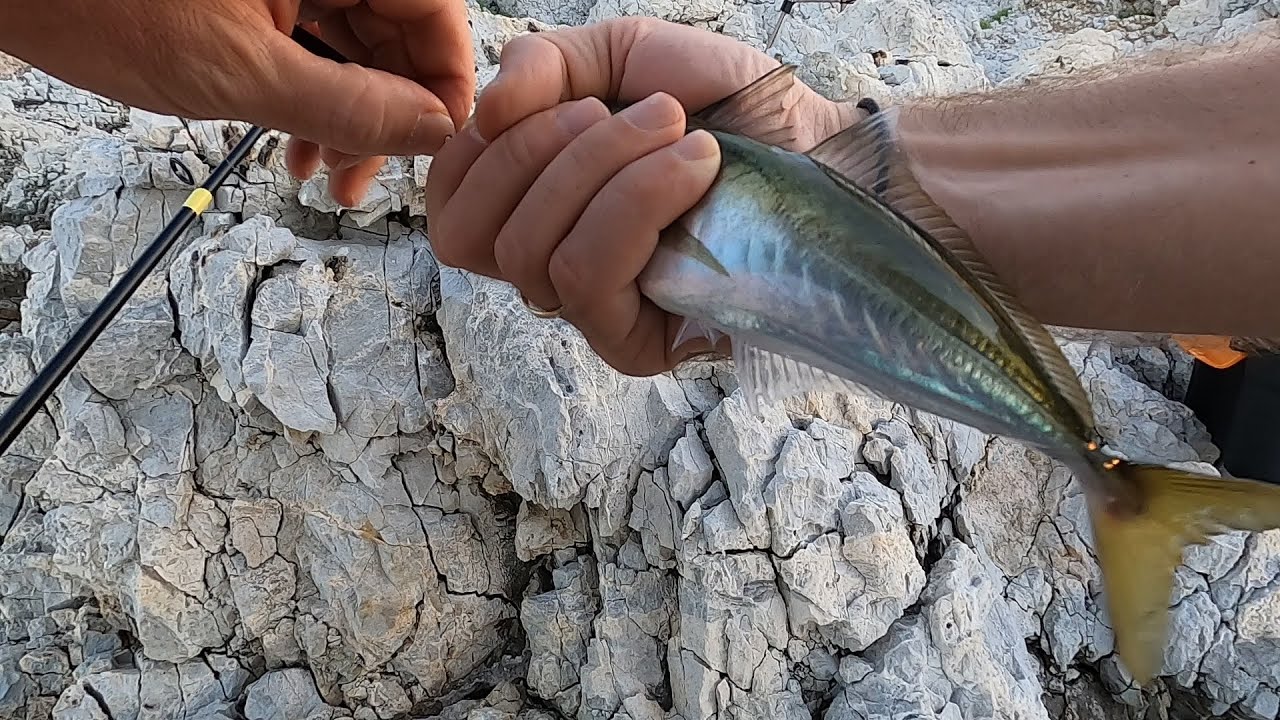 Two Strikes Fishing - Spinning Ψάρεμα LRF