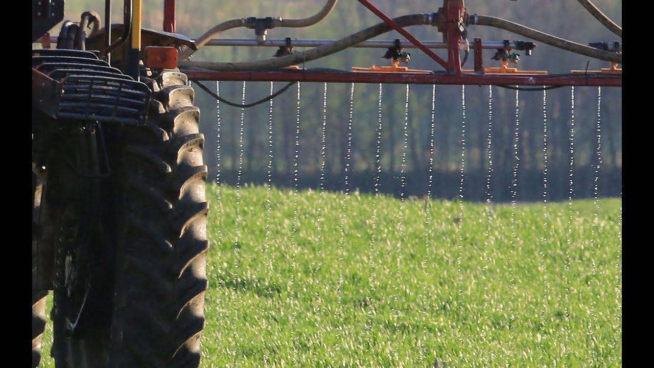 Post Applying Liquid Nitrogen To Winter and Spring Wheat - Using Chafer Stream Bars