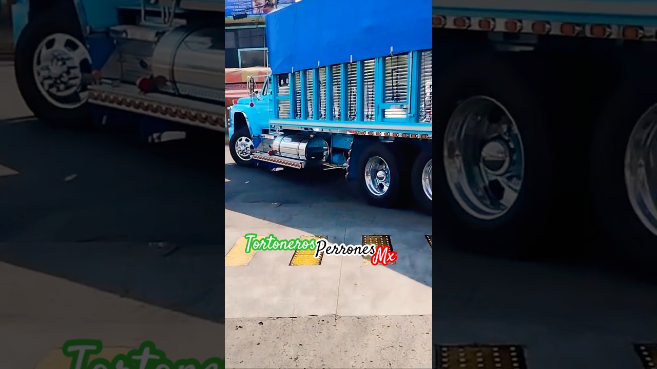 El papa de los pollitos chulada de carro torton ford f600