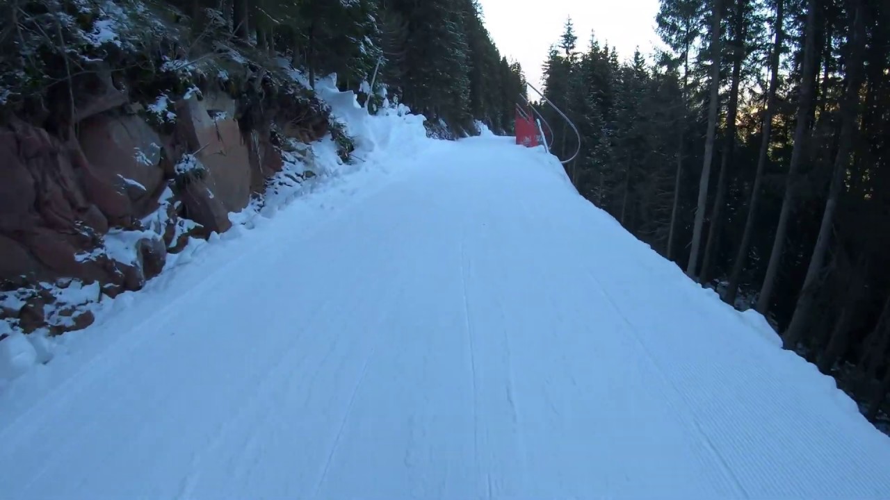 Via del Bosco - Alpe Cermis - Cavalese - Val di Fiemme - Italia - 2019