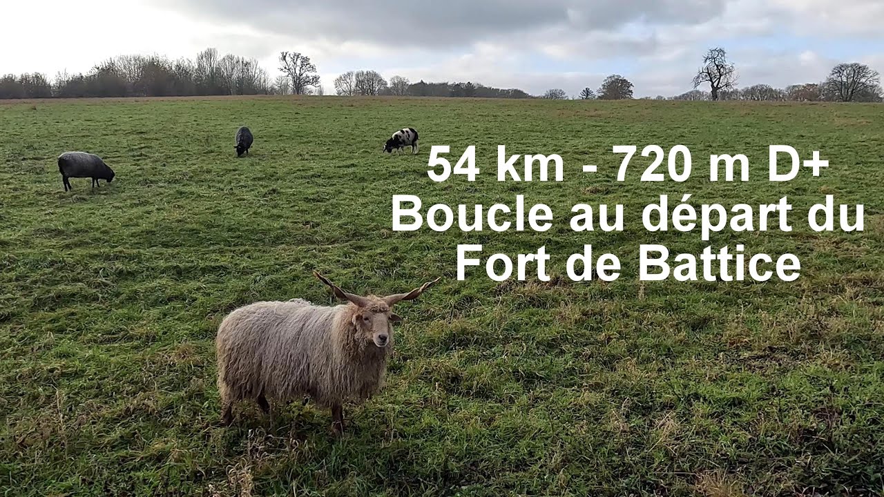 Battice - Teuven 54 km  720 m D+