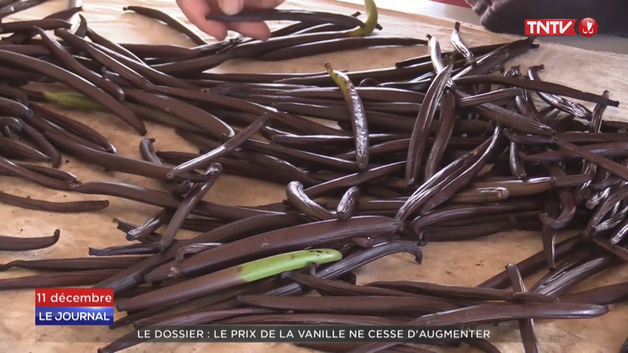 Dossier : Le prix de la vanille de Tahiti ne cesse d’augmenter