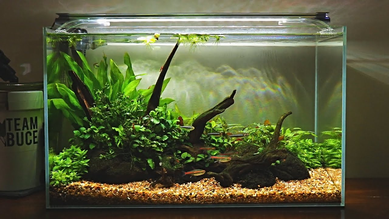 Finnex Planted+ 24/7 HLC!