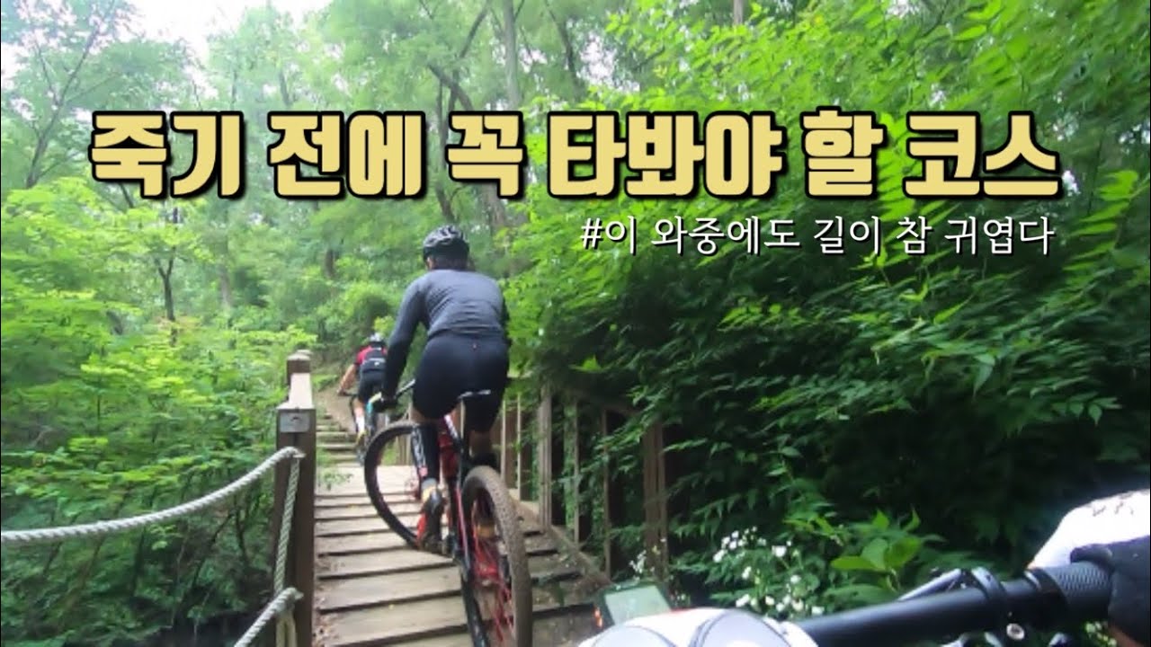 로드 접고 MTB만 타게 했던 그 코스