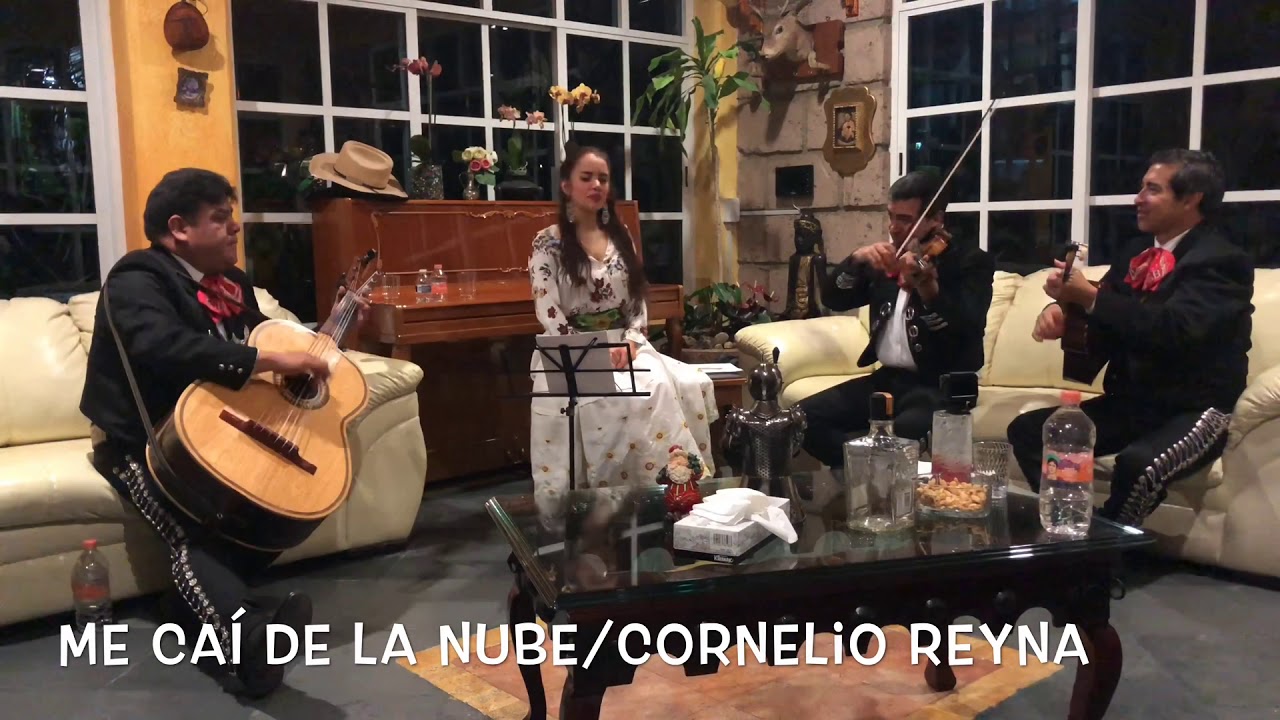 Me caí de la nube/Cornelio Reyna