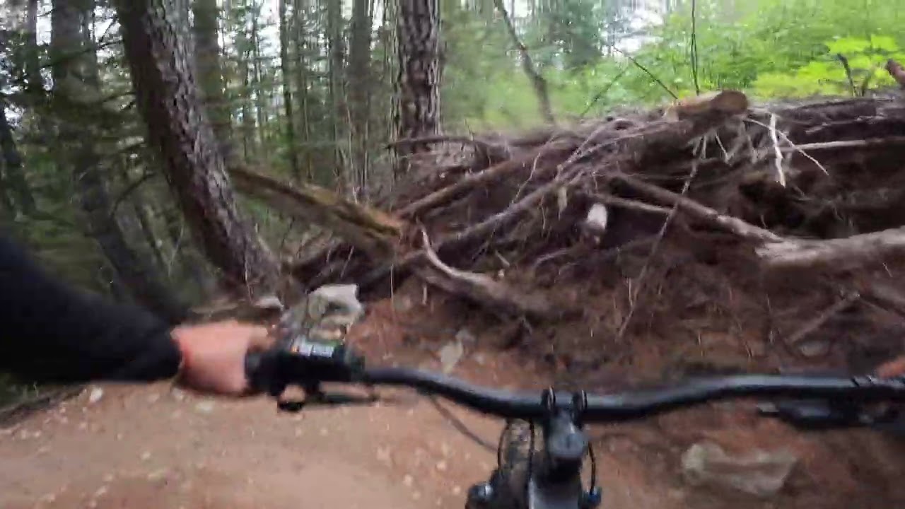 Downhill Feels on Easy Mode with Trek Powerfly 4 Gen 4 FS+ 🚵‍♀️ | Smooth Trail Ride