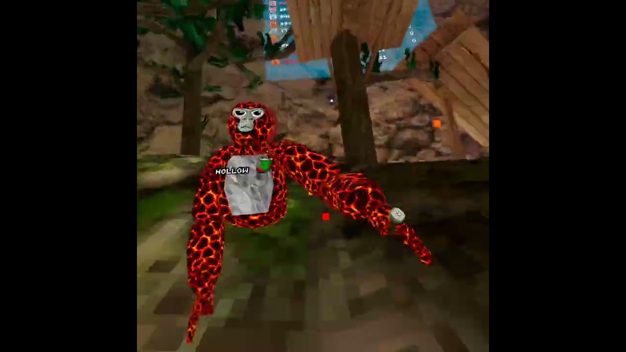 Ranked #gorillatag ￼