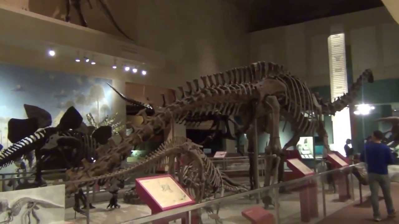 Frag Doll Weekly Minute: Museum Adventure Time!