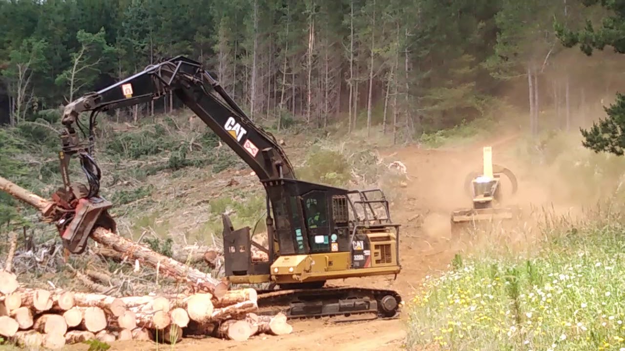 Faena forestal mecanizada verano!