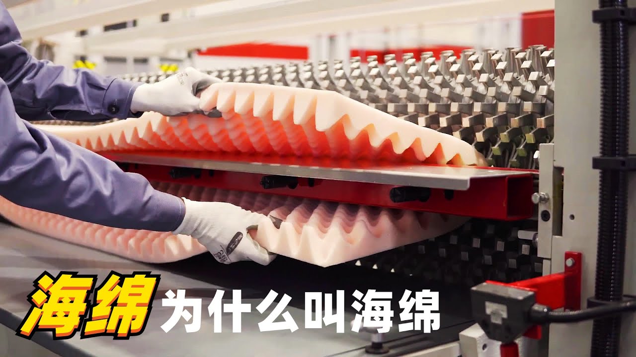 海绵为什么叫海绵？凹凸状是如何切出来的
