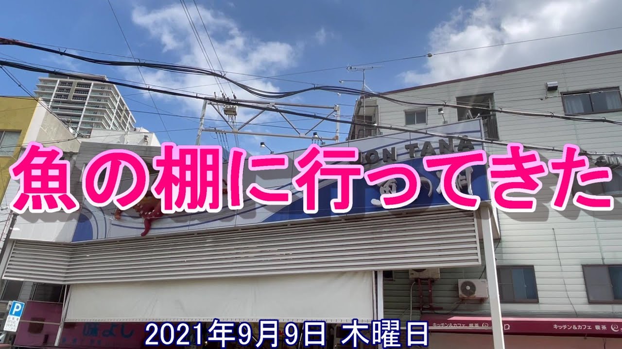 【明石市魚の棚に行ってきた】Akasi Uontana