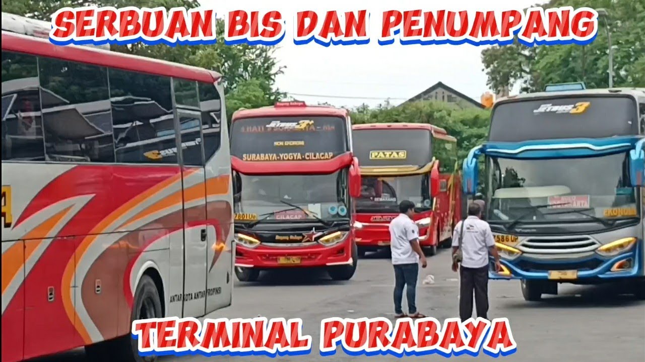 NGERI 🔥 RAME POLL ‼  SERBUAN BIS DAN PENUMPANG TERMINAL PURABAYA