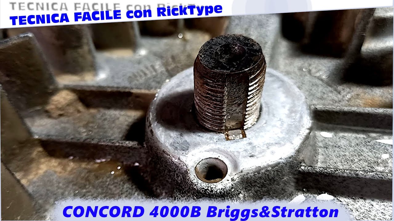 Carburatore con Primer Briggs&Stratton Quantum  ripristino e due trucchi di settaggio