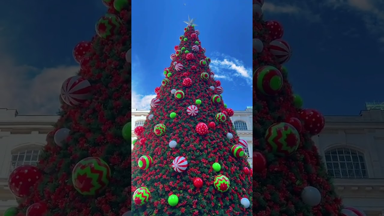 Christmas in Auckland, New Zealand!! #christmas #merrychristmas #aucklandcity #indian