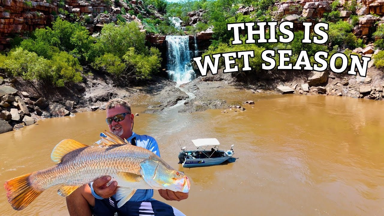 Wet Season Unleashed: Waterfalls, & Runoff Barra
