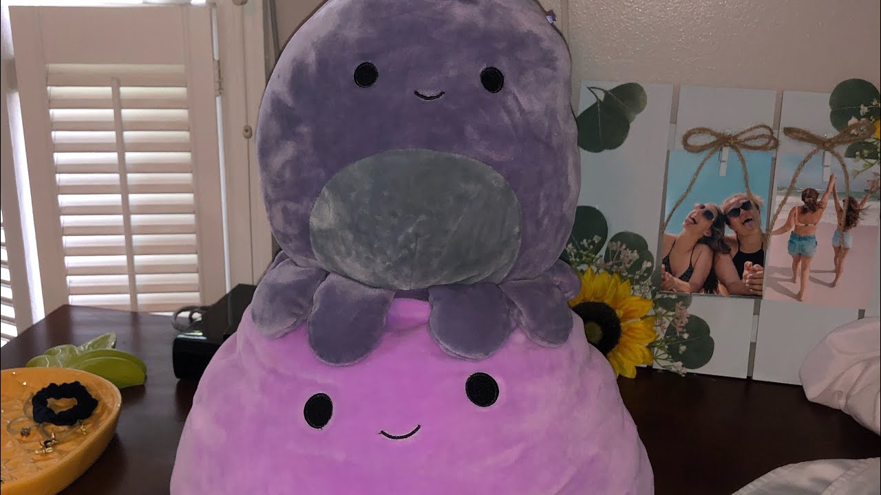 WE DYED SQUISHMALLOWS?!? (Plus squish hunt)