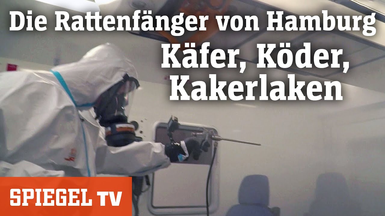 Die Rattenfänger von Hamburg: Käfer, Köder, Kakerlaken | SPIEGEL TV