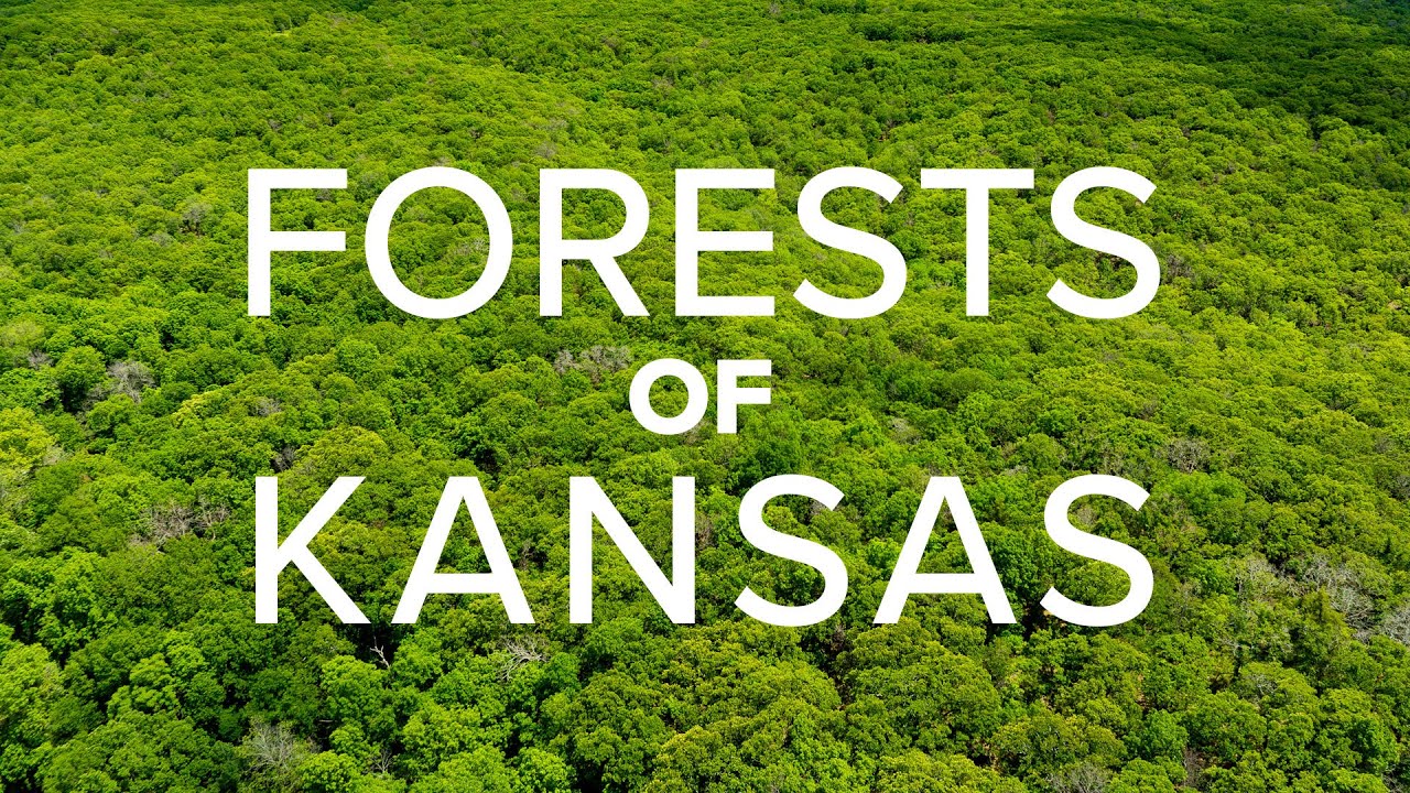 Forests of Kansas