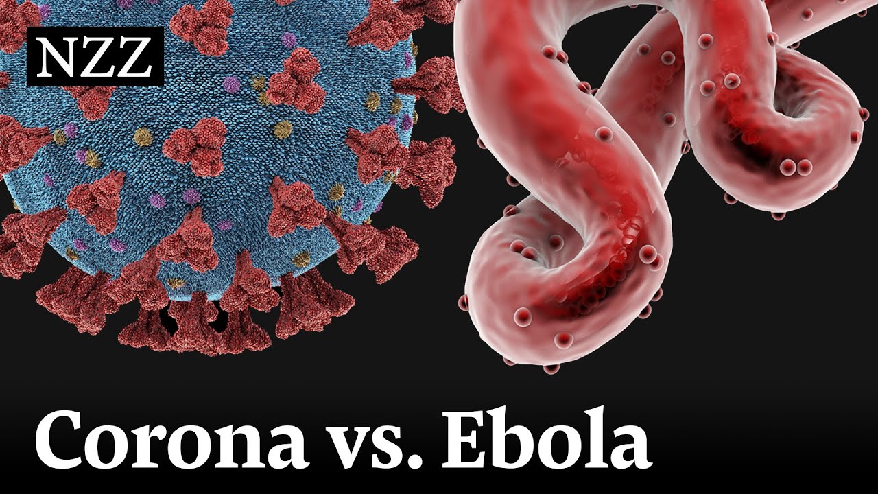 Warum Ebola gestoppt werden konnte und Corona nicht
