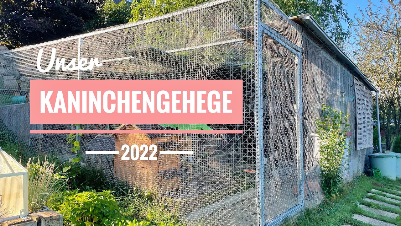 Kaninchengehege 🐇 Cagetour 2022