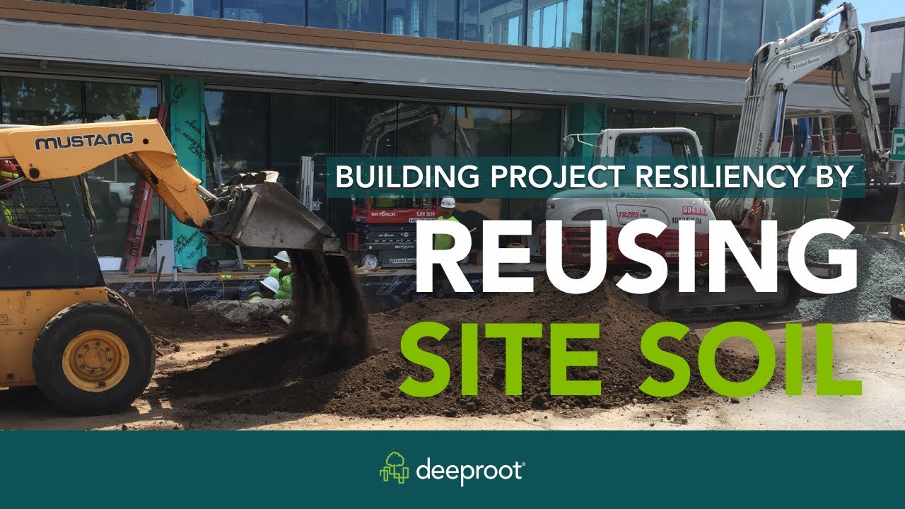 Reusing Site Soil with Silva Cells: Lowering Carbon Footprints and Benefiting City Trees
