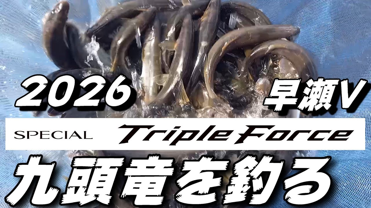 鮎釣り 2026シマノ新製品スペシャルトリプルフォース早瀬V90 9月22日 20cm高笹濁り強 吉波 九頭竜川 2025年